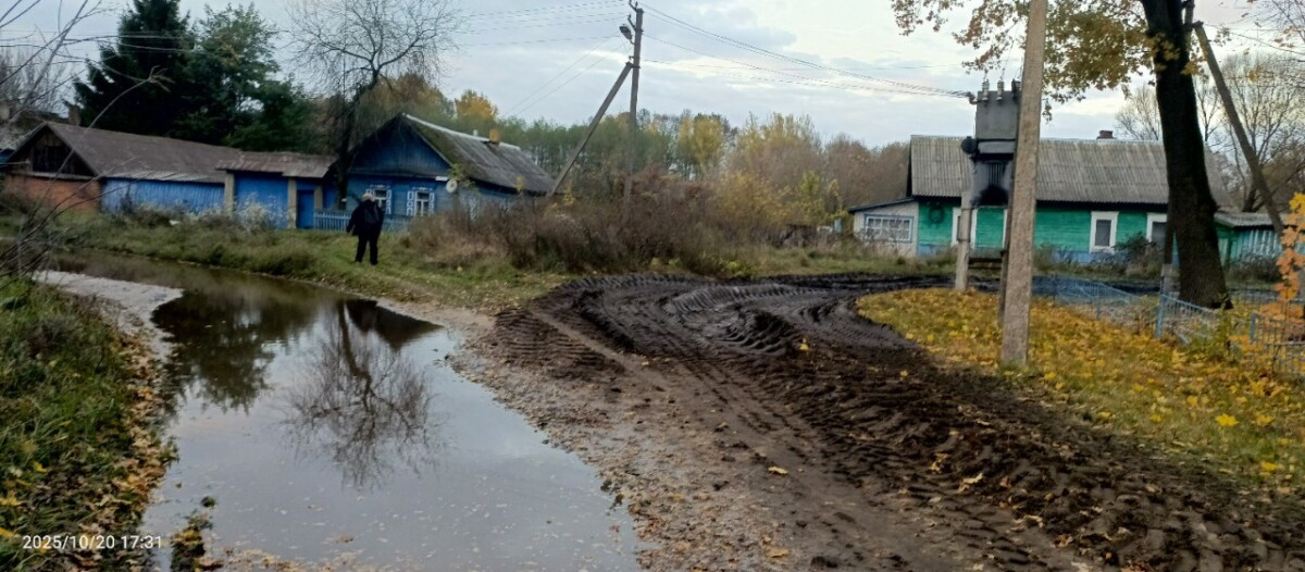 Жители Новозыбковского округа прислали в редакцию фотографии уничтоженной дороги
