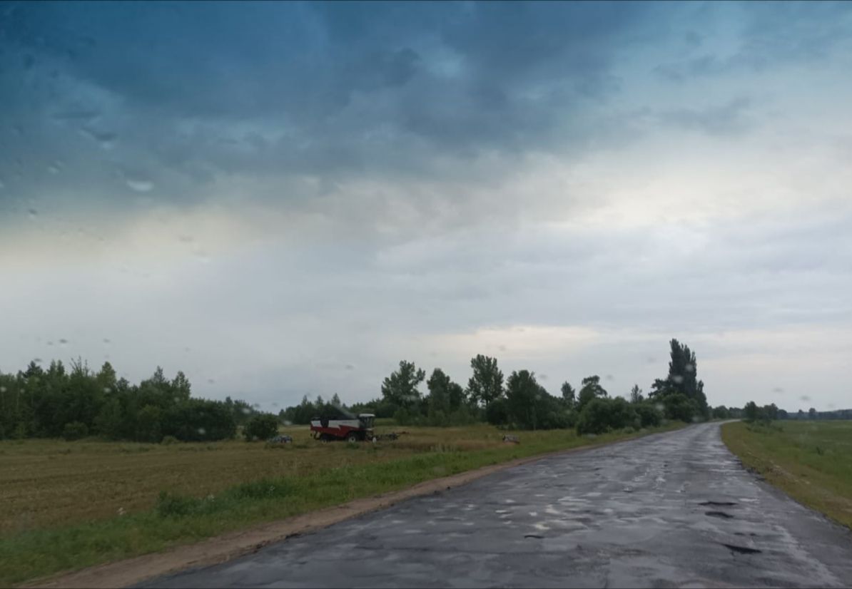 Брянские аграрии отчитываются перевыполнением норм