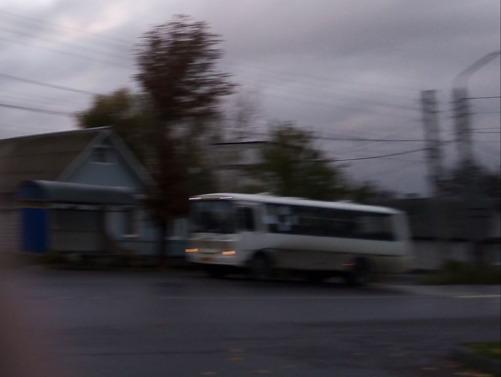 В подозрительной коробке в Новозыбкове обнаружили котят