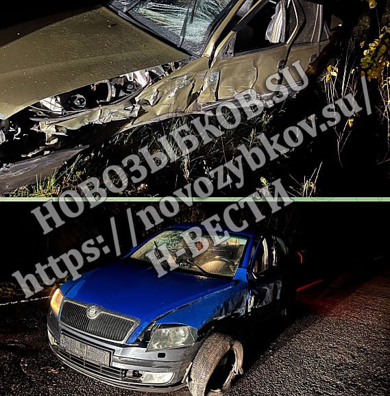 В аварии под Новозыбковом сильно травмирован водитель