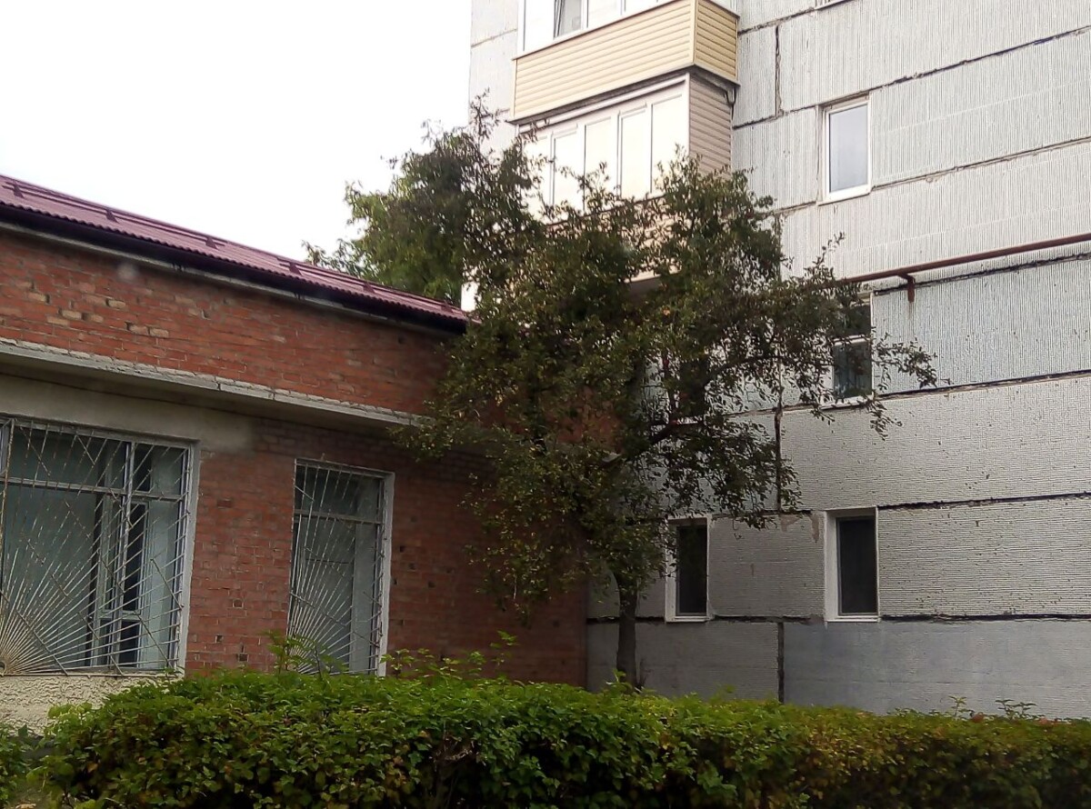 Жительница города Новозыбкова осуждена за мошенничество