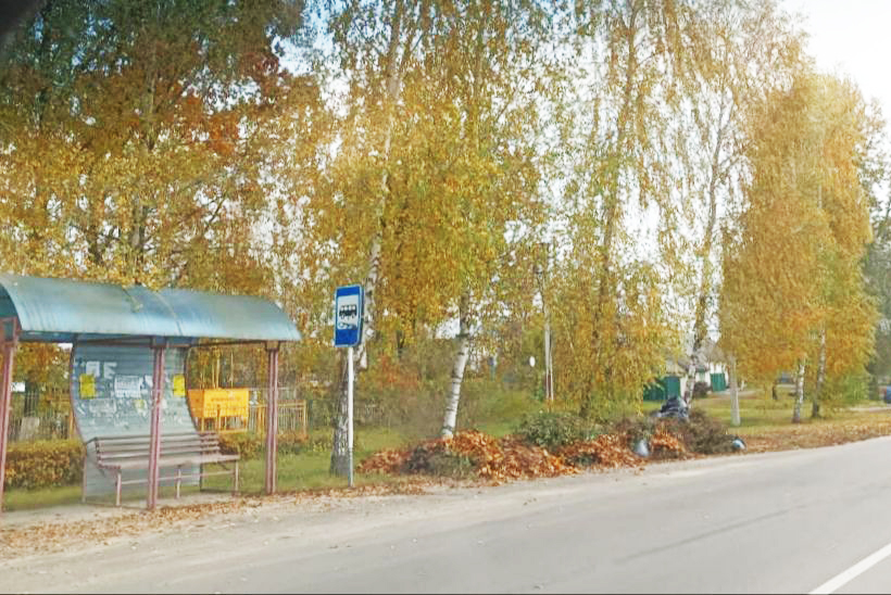 Подход к остановке по улице Мичурина в Новозыбкове завален листвой