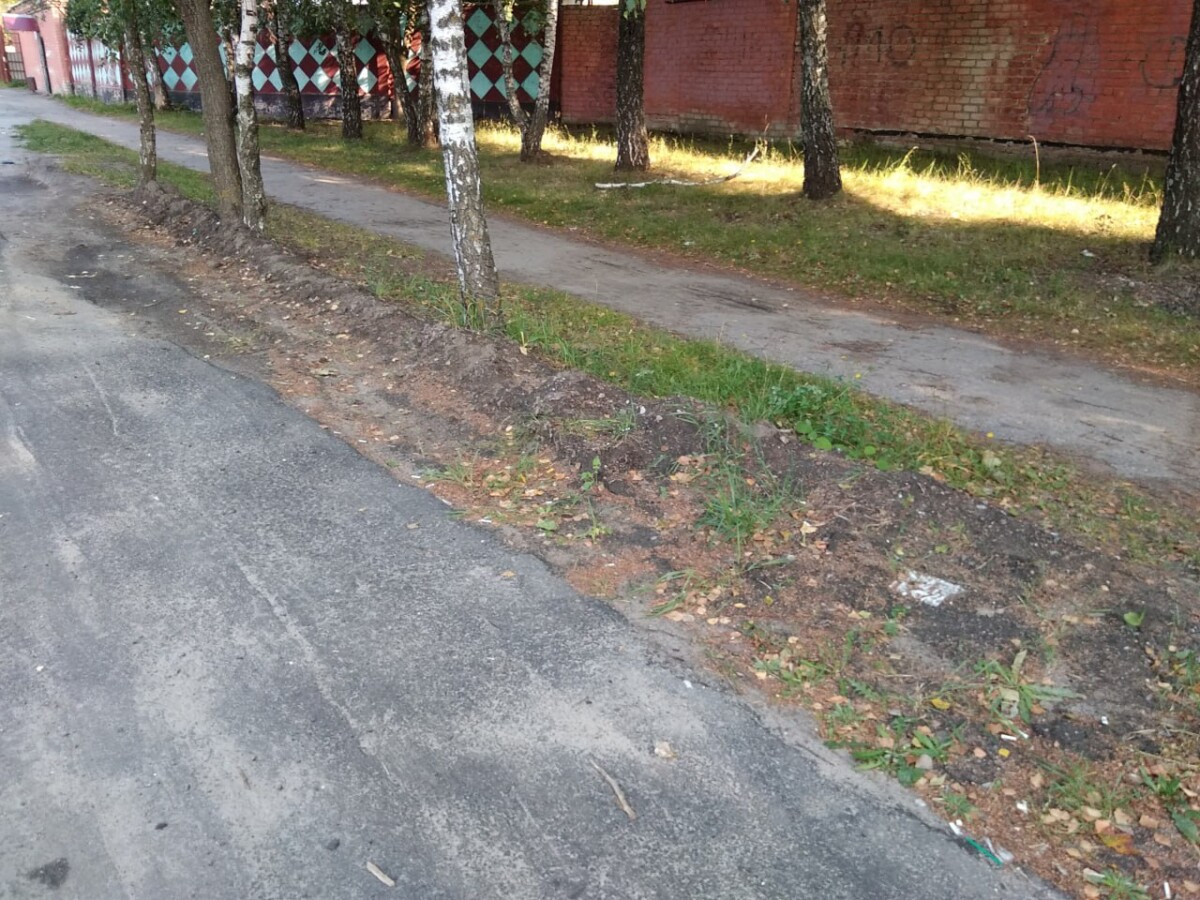 Жительница Новозыбкова отсудила с владельца лайки компенсацию морального вреда