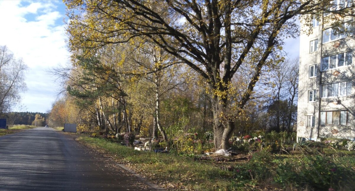 Потенциальному призывнику в Новозыбкове позвонили мошенники под видом сотрудников военкомата