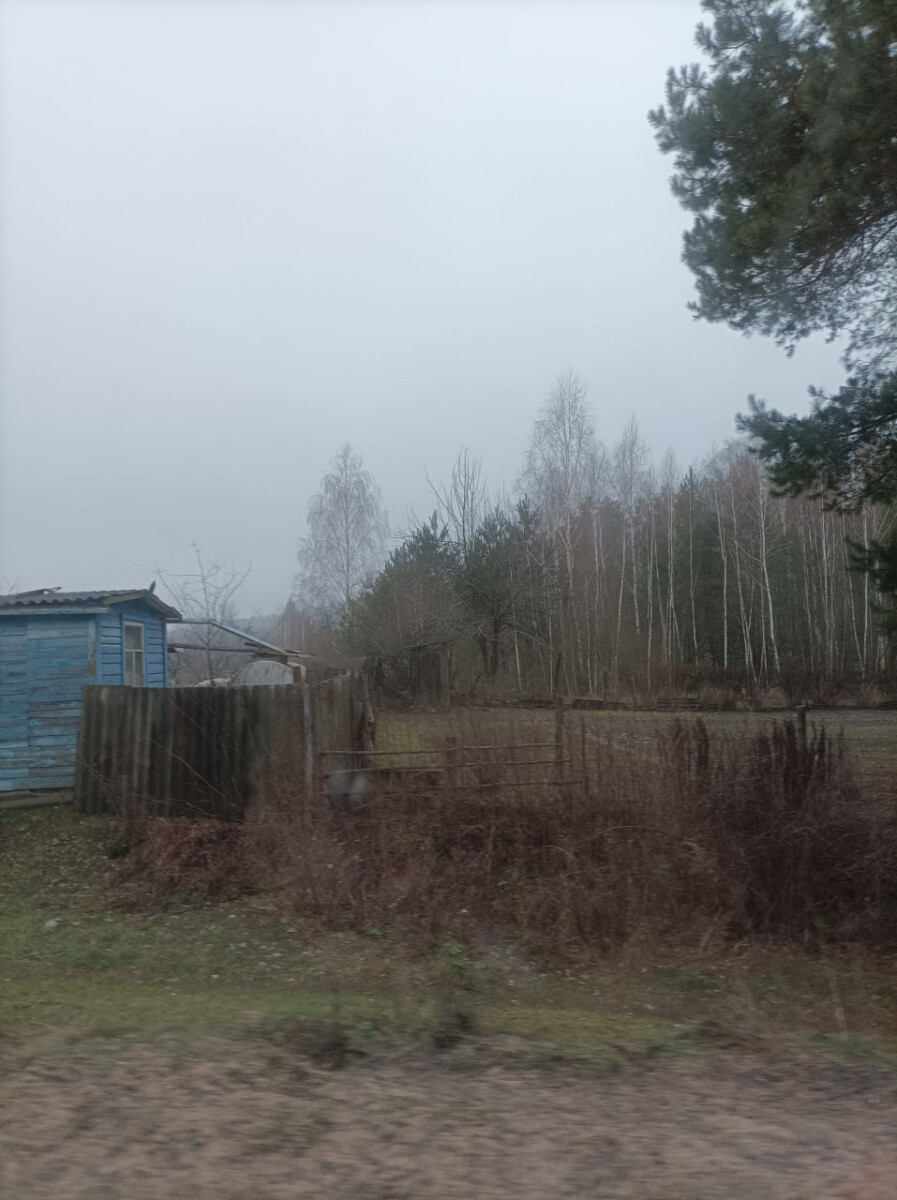 Житель Новозыбковского округа смог вовремя опомниться и выбраться из сети мошенников