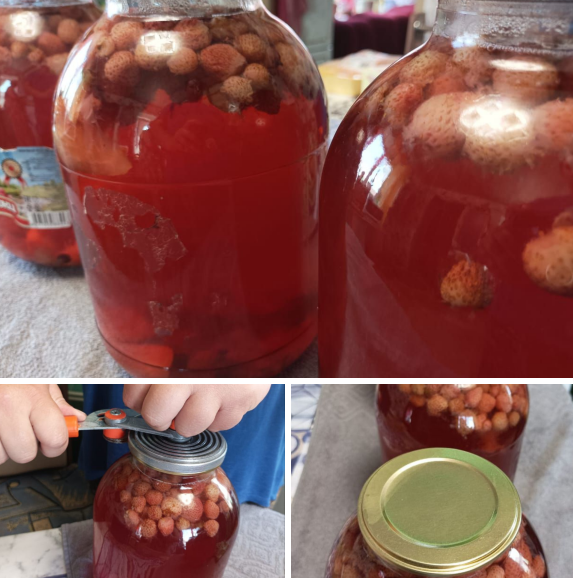 23 октября – День консервирования