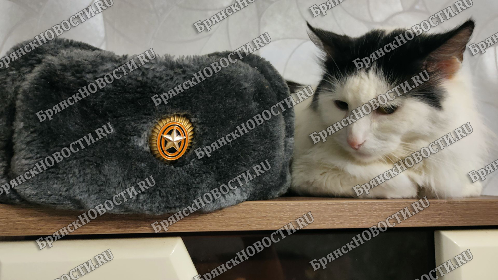 Призывники Новозыбкова, Злынки и Климово получат электронные и бумажные повестки