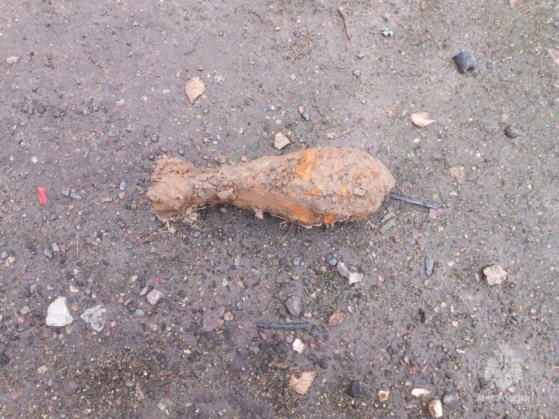 Минометную мину нашли у села в Новозыбковском округе