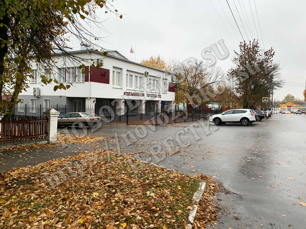 Десять лет мальчика в Новозыбкове воспитывала бабушка, мать была лишена прав