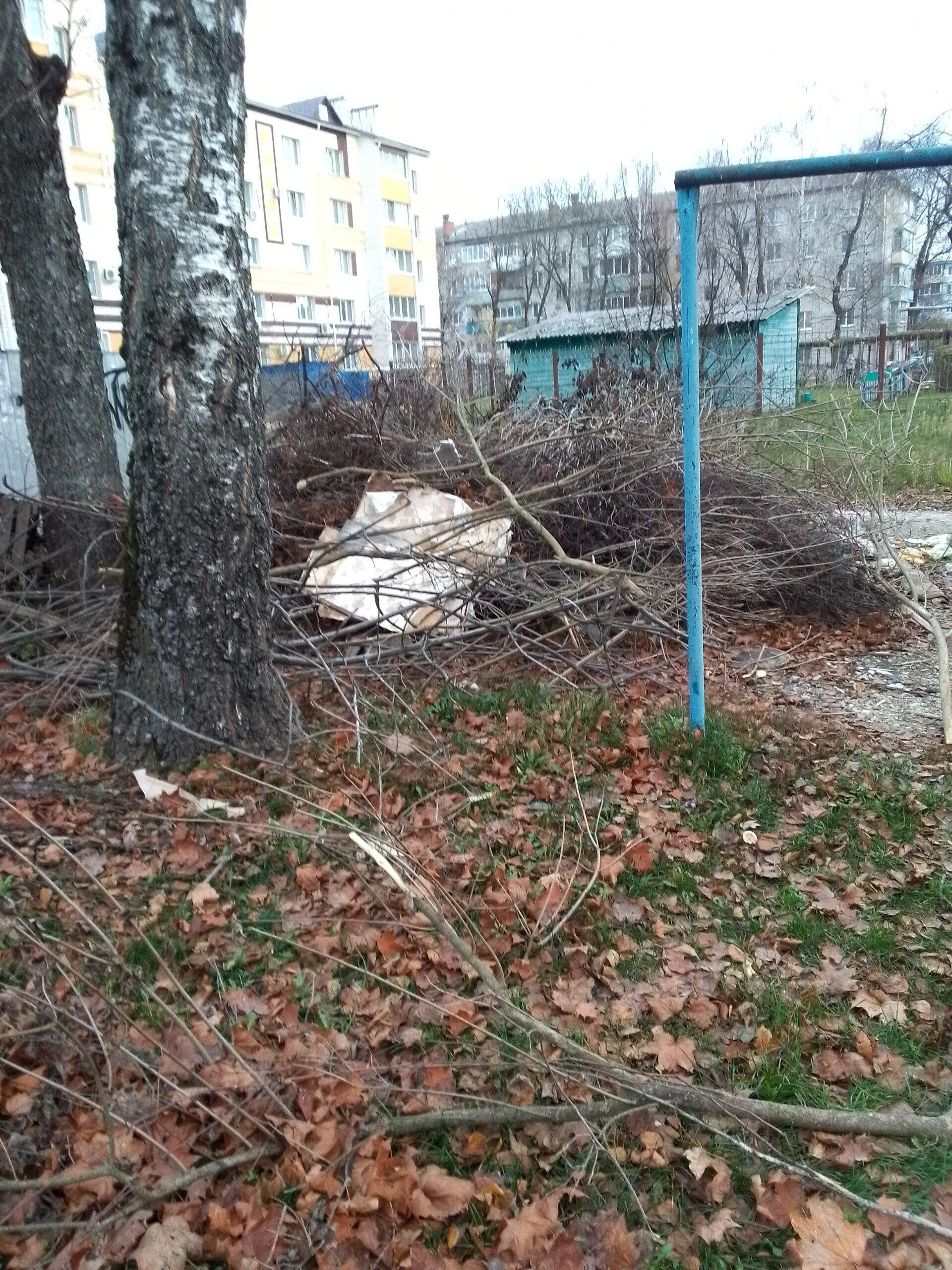 Мусор у детсада 16 в Новозыбкове