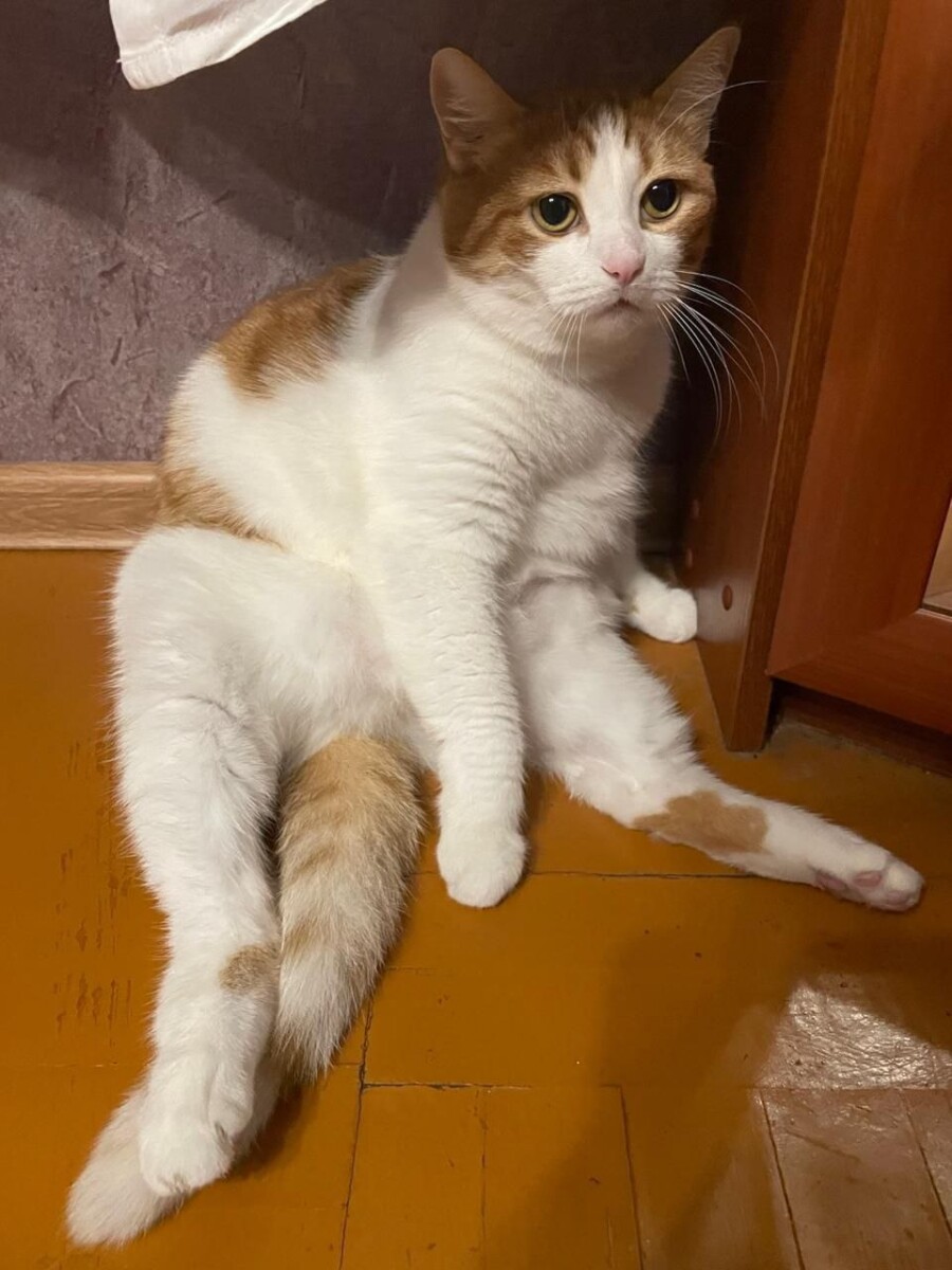 Любитель громкой музыки в Новозыбкове затерроризировал округу 