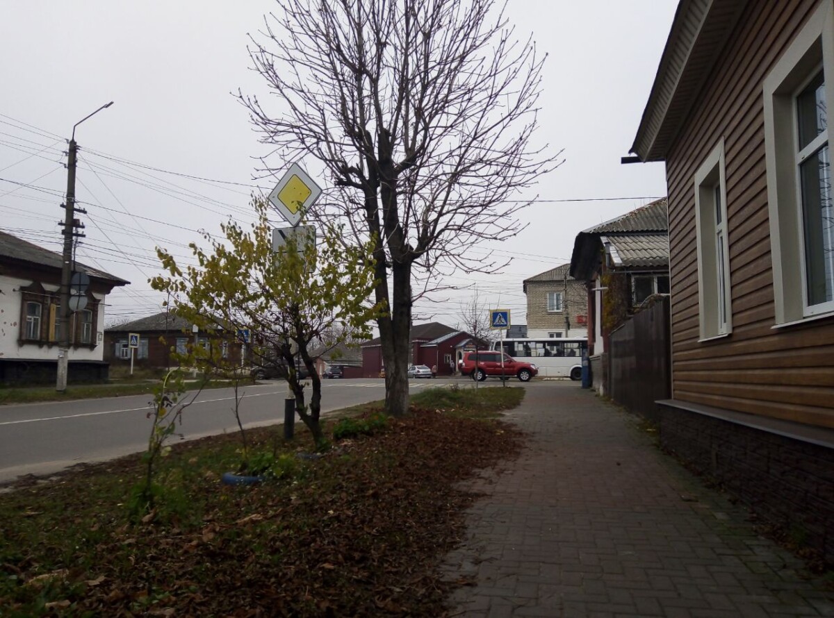 Жительница Новозыбкова поговорила с сотрудником интернет-магазина и потеряла сотни тысяч рублей