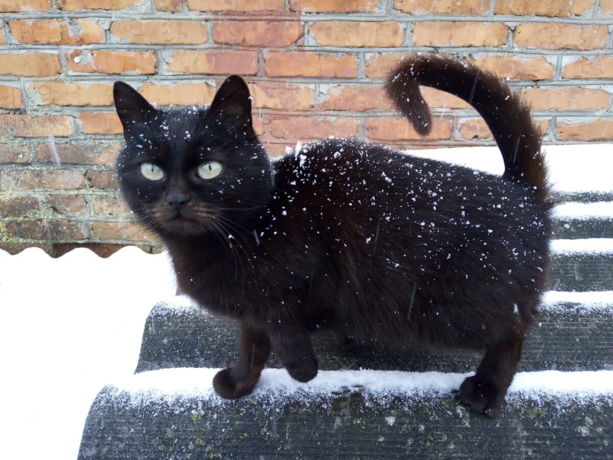 Сегодня нельзя давать в долг и лучше этот день пересидеть дома