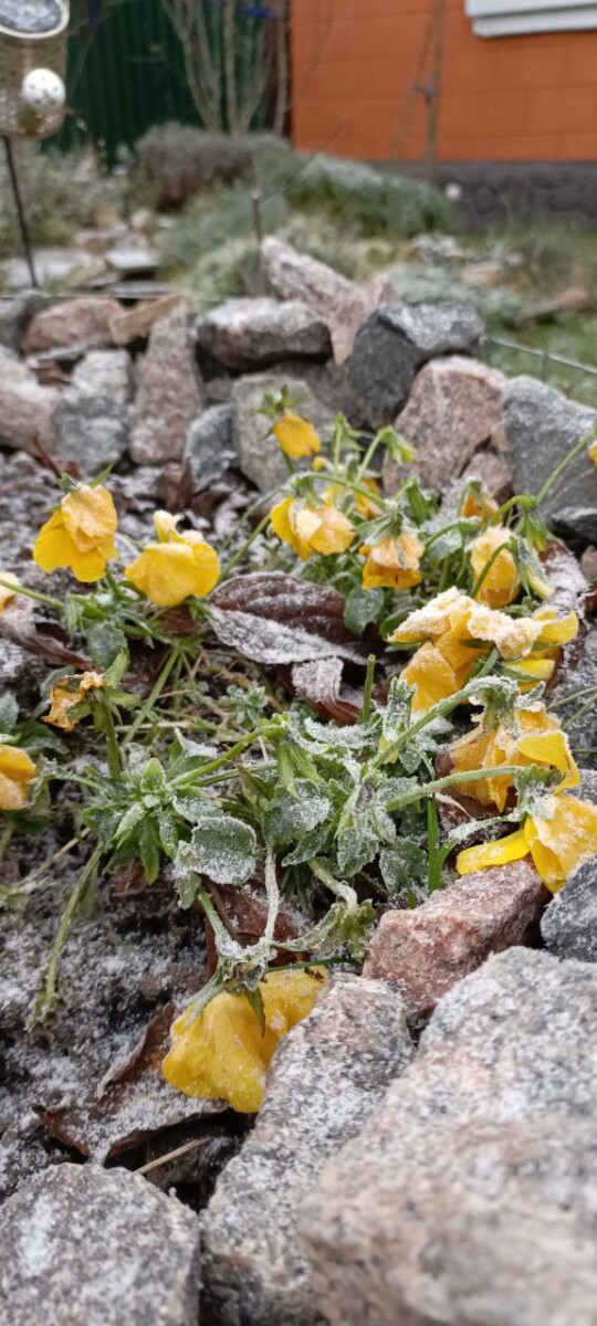 Первый снег в Новозыбкове в разные годы