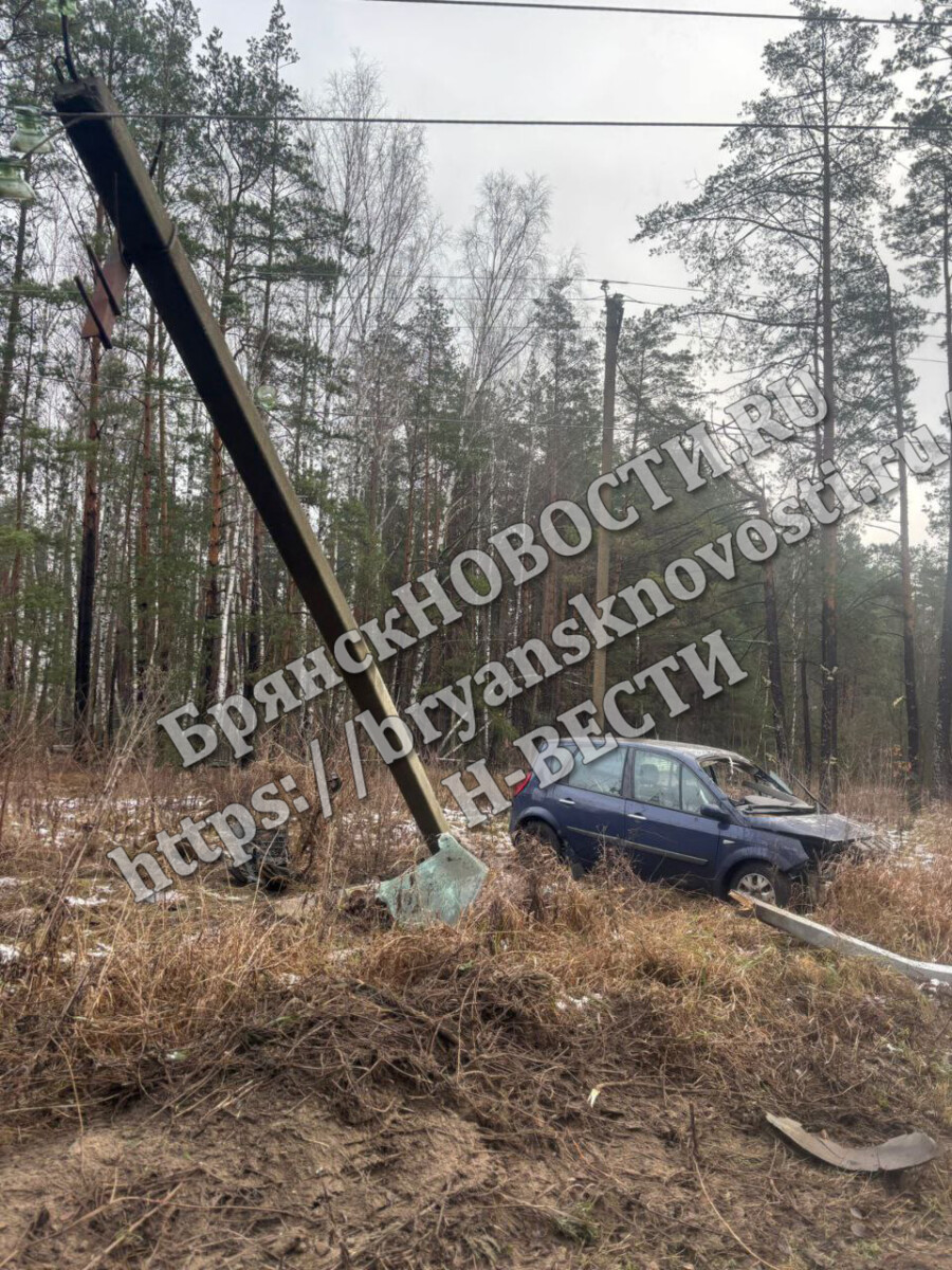 Водитель слетел с трассы на юго-западе Брянской области и попал в электроопору  
