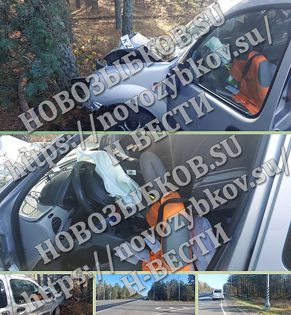 Трагедия на ровной дороге между Новозыбковом и Злынкой