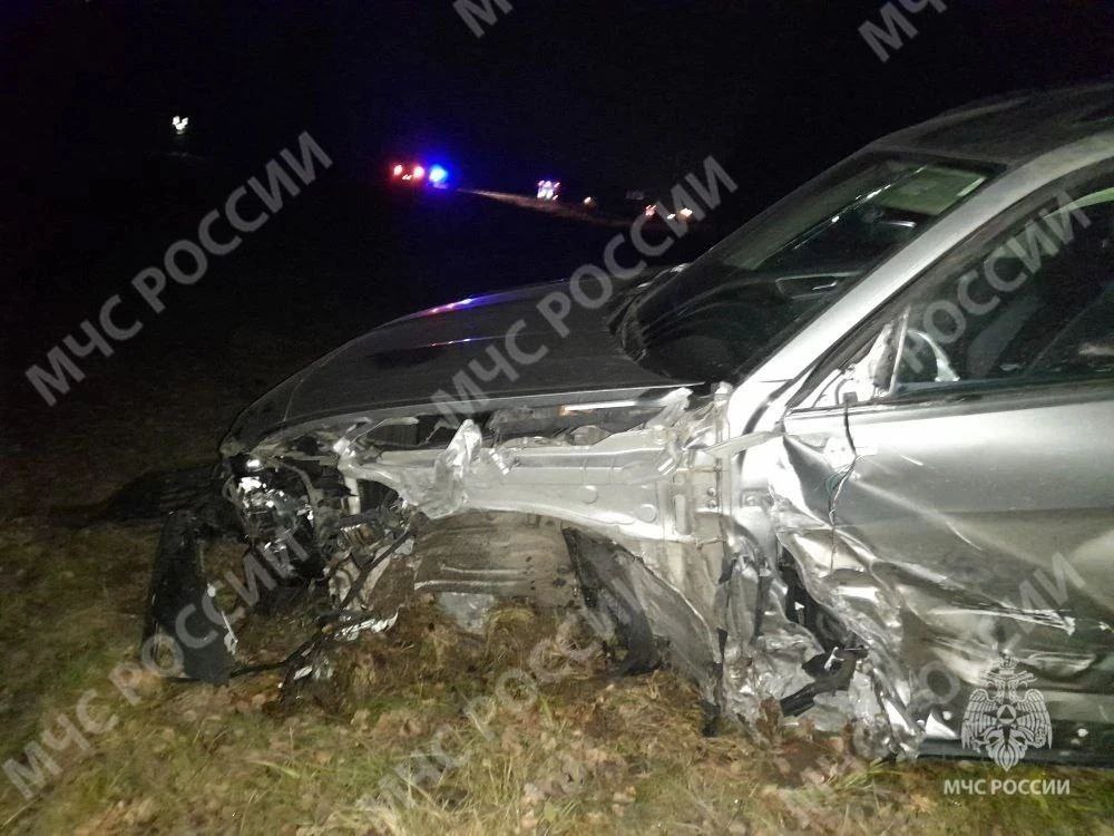 Мальчик и отец погибли в ДТП сегодня в Брянской области