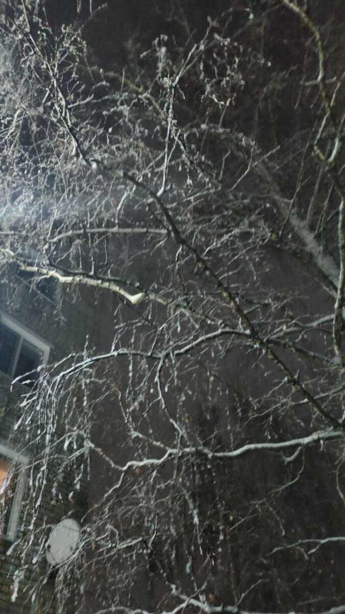 В Брянской области пойдёт мокрый снег, возможна гололедица