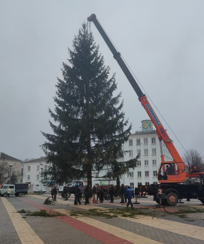 Праздник к нам пришёл: в Новозыбкове установили новогоднюю ель на площади