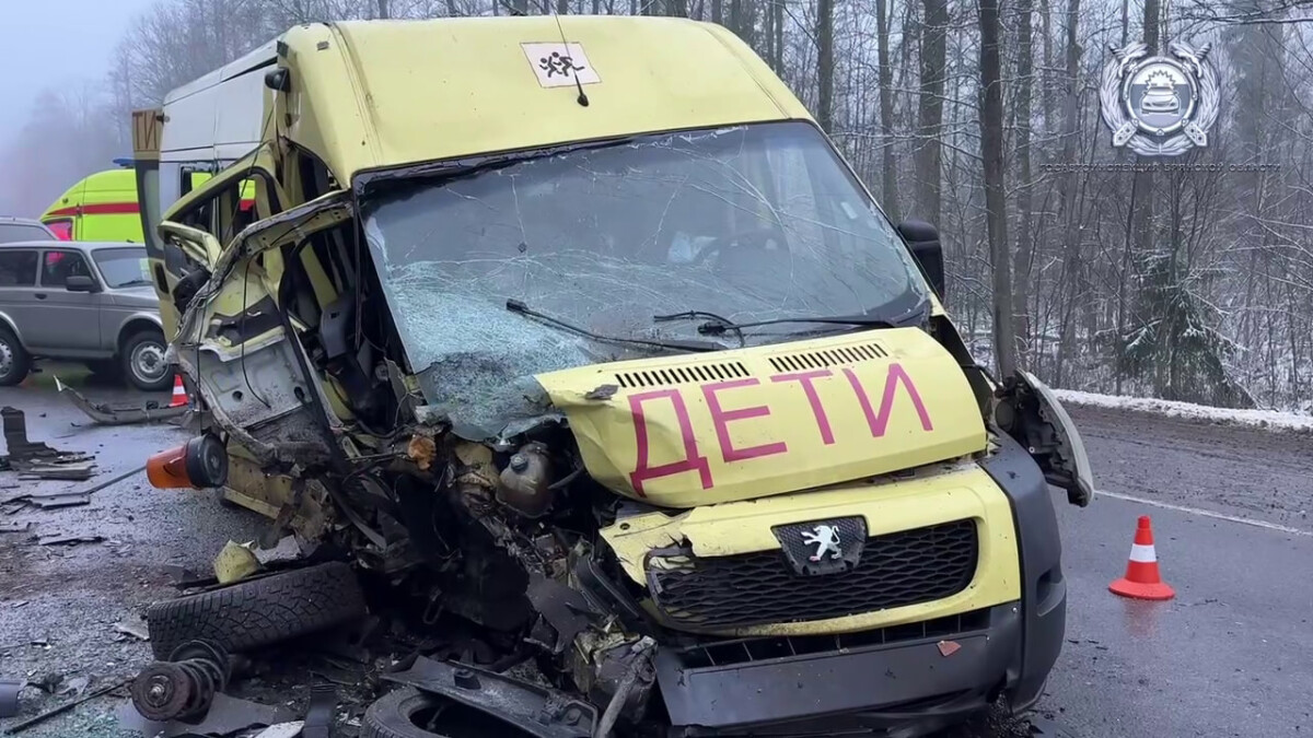 После ДТП на брянской трассе 10 детей доставлены в медицинское учреждение