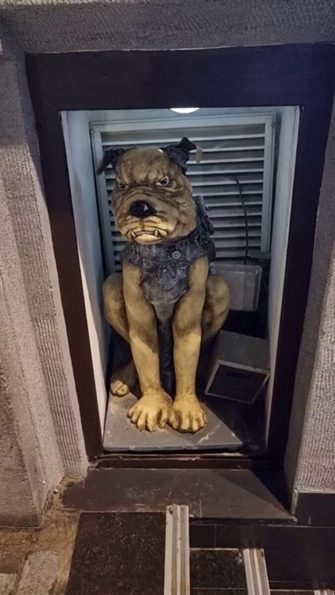 В Новозыбкове появились своего рода мастера создания шоу-переполоха