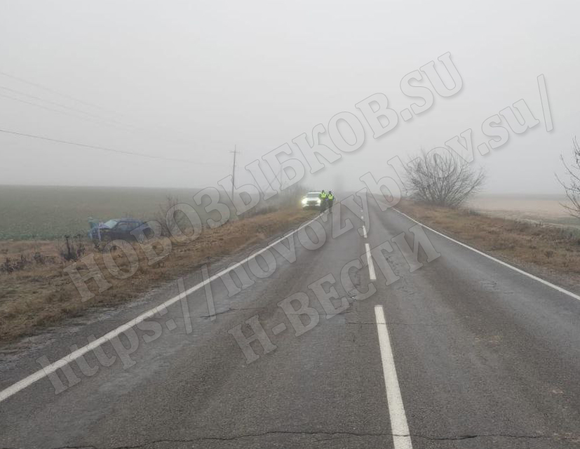 На брянской трассе автомобиль слетел в кювет