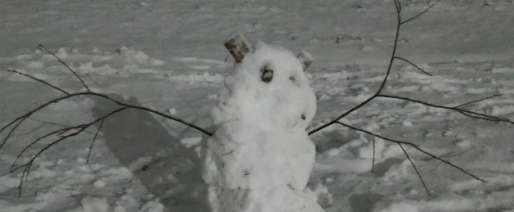 К вечеру 23 декабря на территории Брянской области понижение до -14ºC