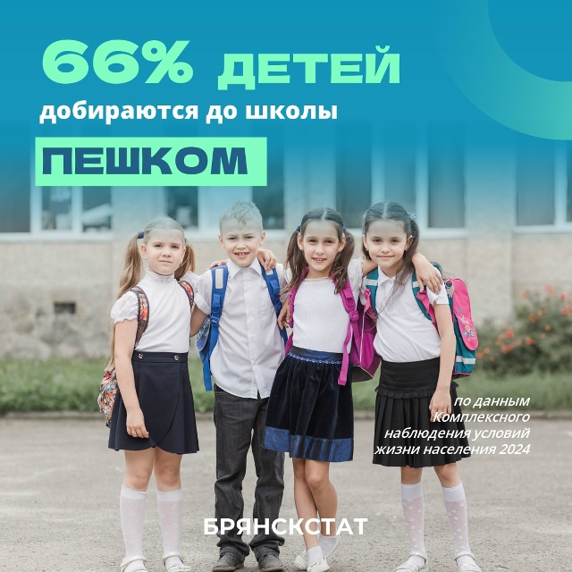 Две трети учеников в Брянской области добираются до школы пешком