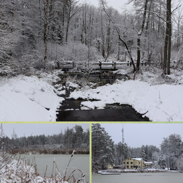 Заповедные места Брянской области в снежном покрывале