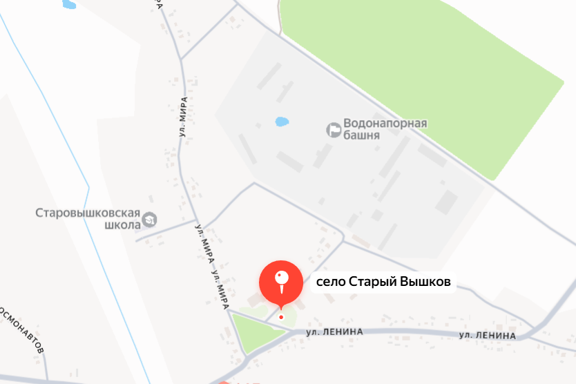 В селе под Новозыбковом Брянской области сгорел дом