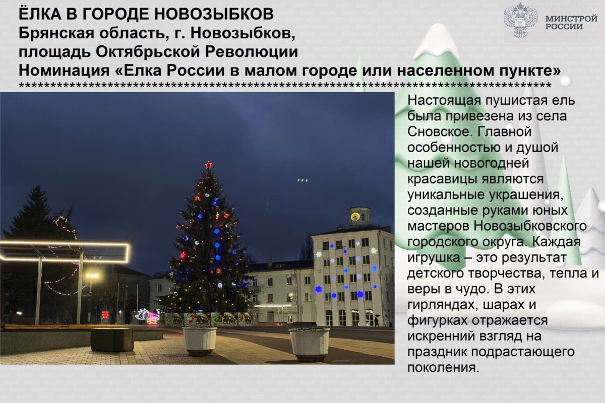 Ещё можно успеть проголосовать за ель из Новозыбкова