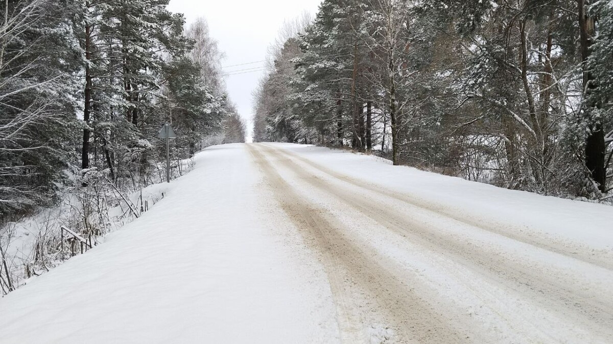 Водителя с кузовом телят остановили на трассе под Новозыбковом
