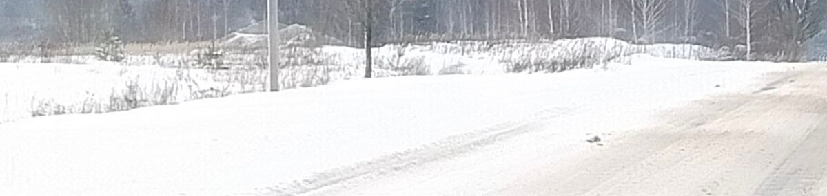 Ушибы головы и колена у велосипедиста, сбитого в Новозыбкове