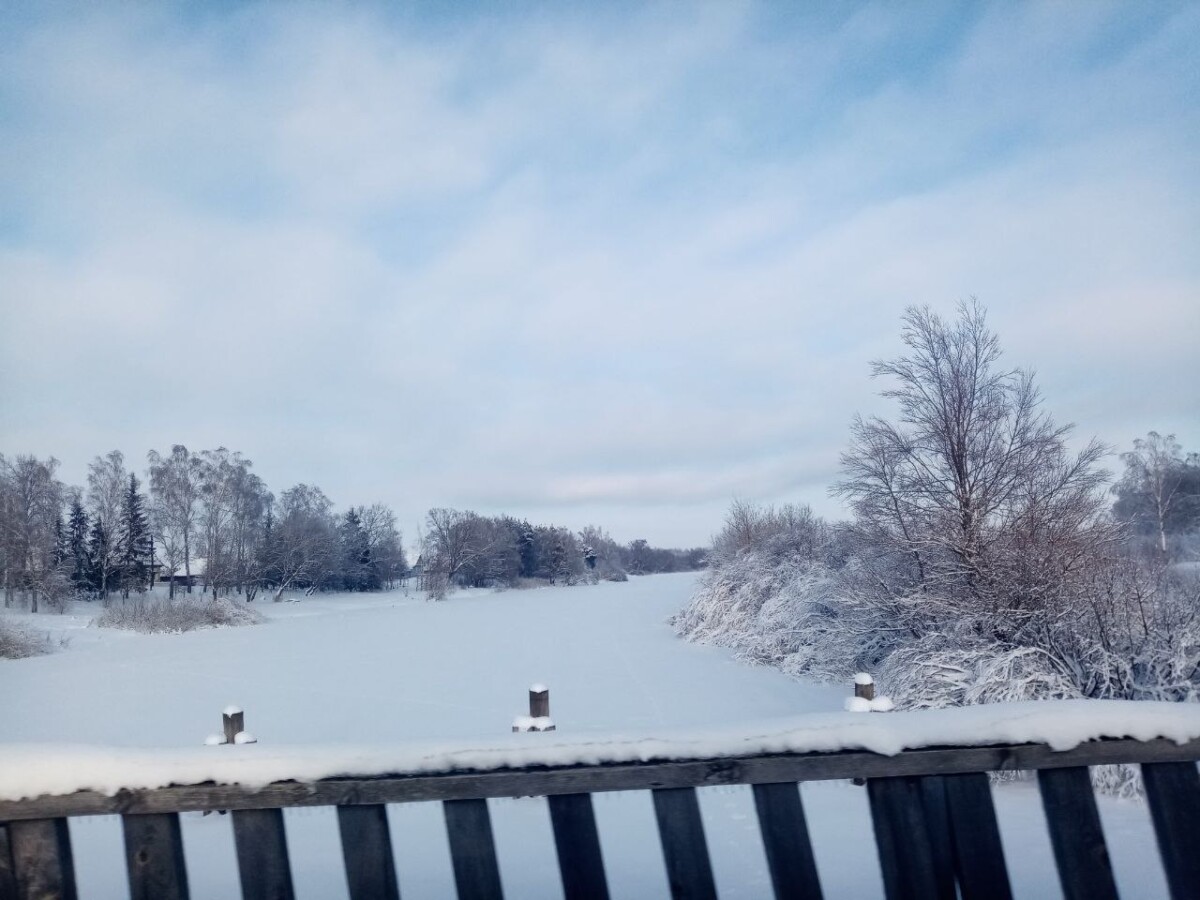 У села под Новозыбковом измерили толщину льда