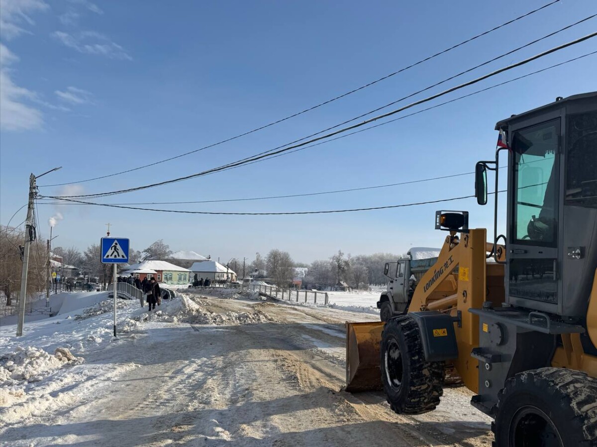 Сегодня власти Новозыбкова поставили задачу очистить мост