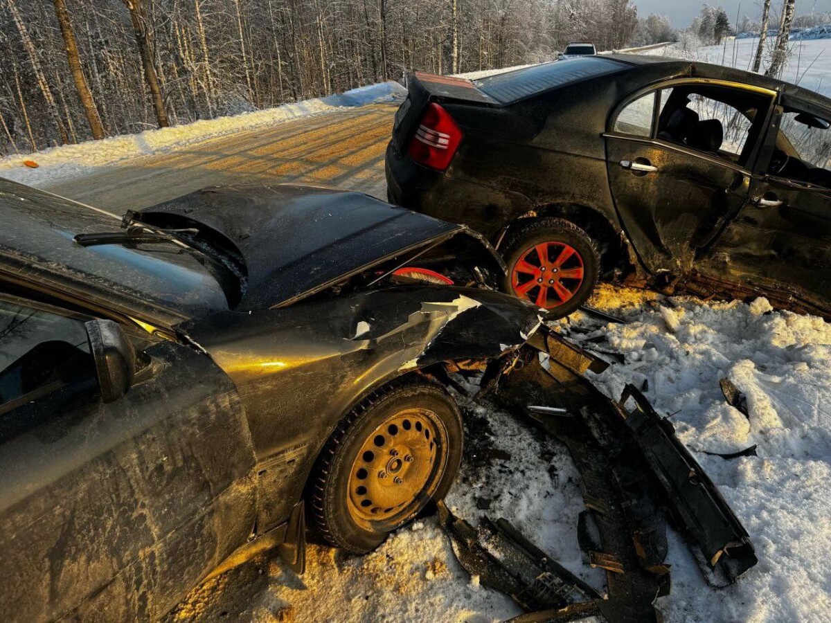 В ДТП под Злынкой травмированы водитель, пассажир и двухлетний малыш
