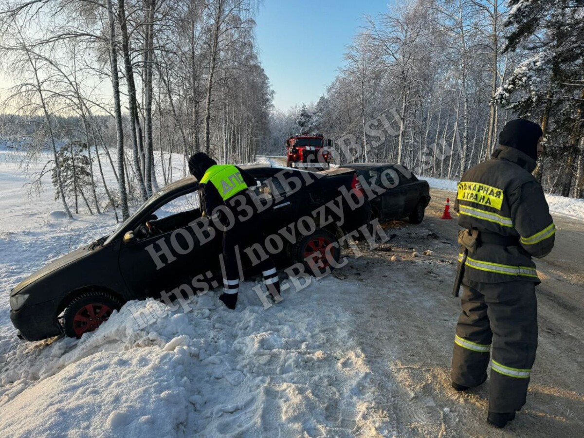 Водитель на встречке пытался уйти от столкновения на брянской трассе