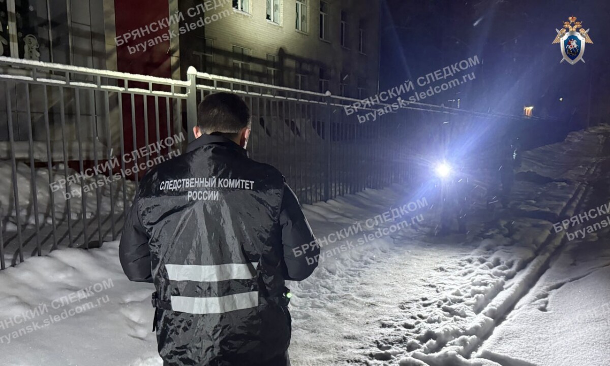 Задержан подросток, убивший знакомого у общежития в Новозыбкове