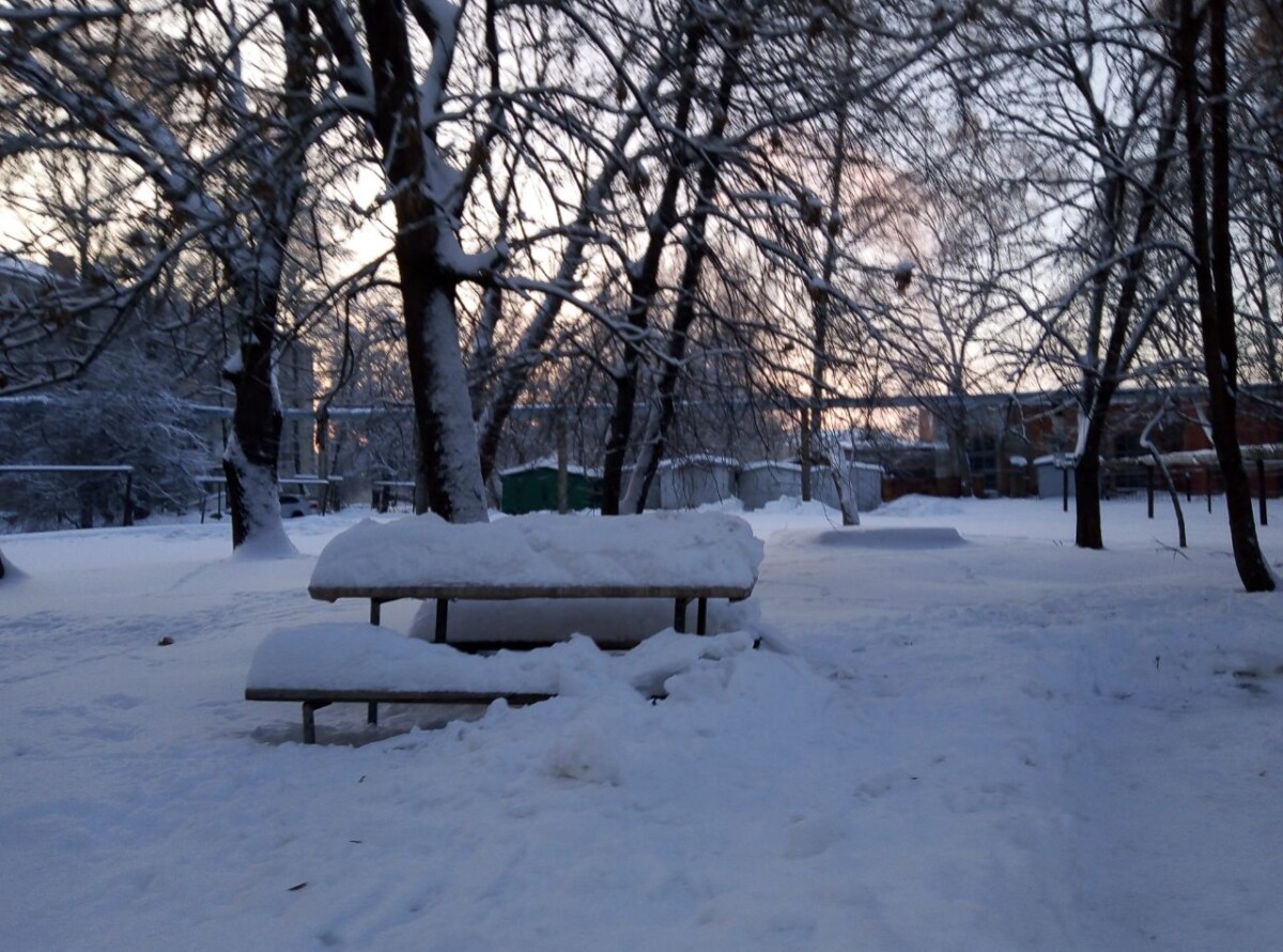 Школьников перевели на дистанционное обучение в Новозыбковском округе