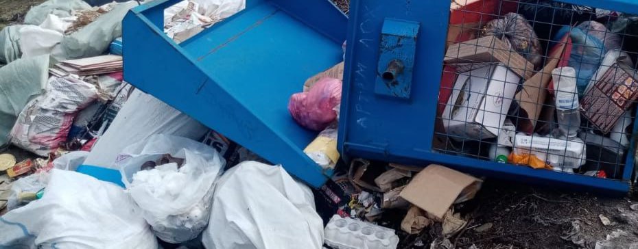 В деревне Новозыбковского округа мусор с точек сбора «забывали» вывозить