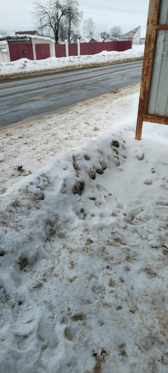 В Новозыбкове горожане просят почистить остановки