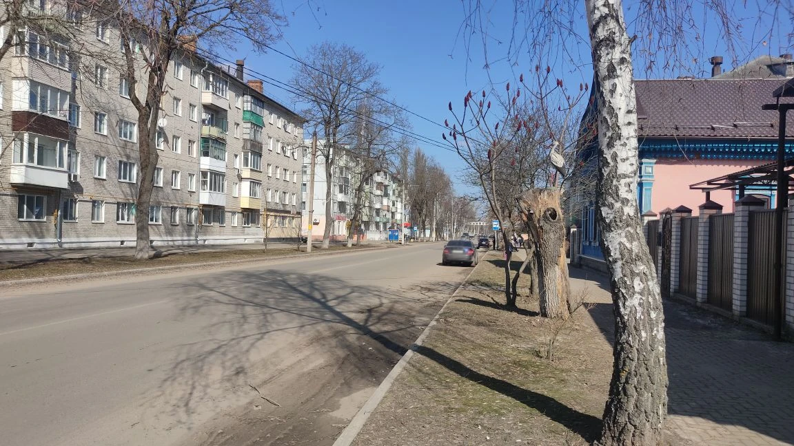 Порнографическое видео выложила в сеть 19-летняя жительница Новозыбковского района