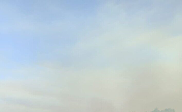 Сообщение о первой в этом году термоточке поступило в ЕДДС Новозыбкова