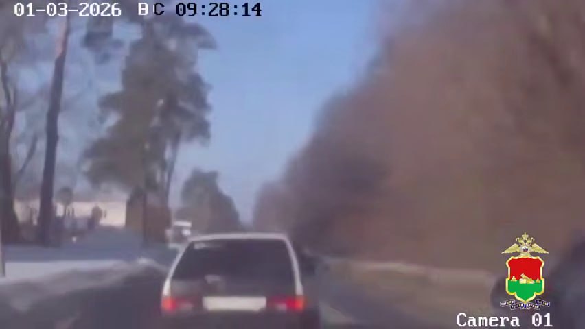 Погоня со стрельбой в Брянской области