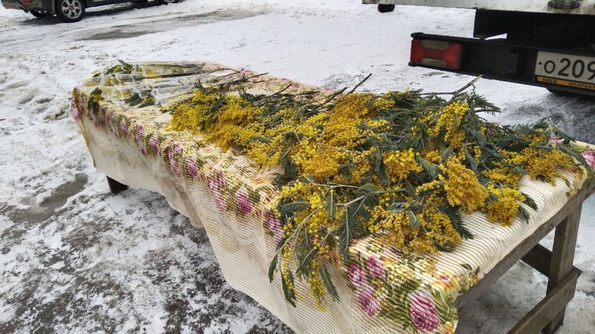Уличные торговцы осторожничают с ценой на весенние букеты в Новозыбкове