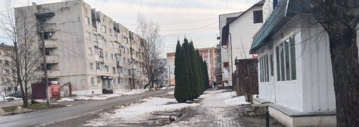 В Новозыбкове мошенники смогли убедить мать отдать деньги за сына