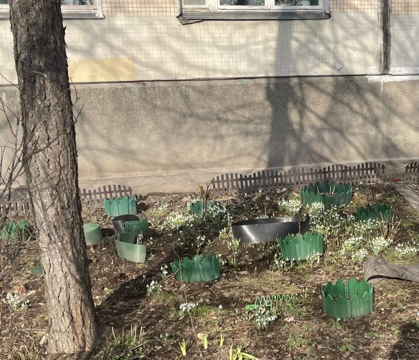 Снег тает стремительно в Брянской области