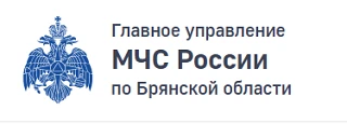 В Брянске за превышение должностных полномочий задержан высокий чин из МЧС по Брянской области