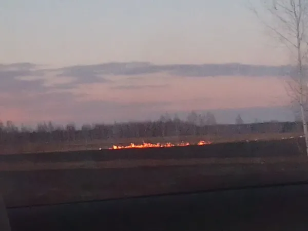 Большая площадь выгорела вблизи села в Новозыбковском округе