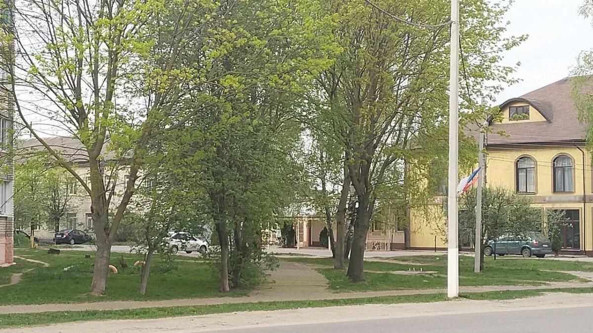 Нелегальный алкоголь на барной стойке нашли в кафе Новозыбкова